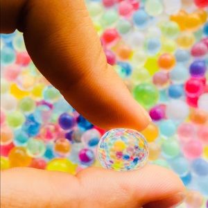 Meet your Posher, Jacqueline